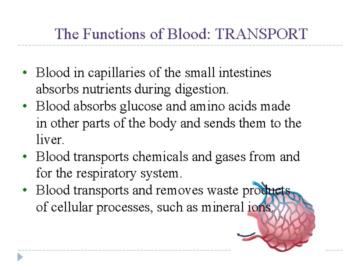 UNIT 4 Chapter 12: The Circulatory System Section 12. 1 The Functions of Blood: