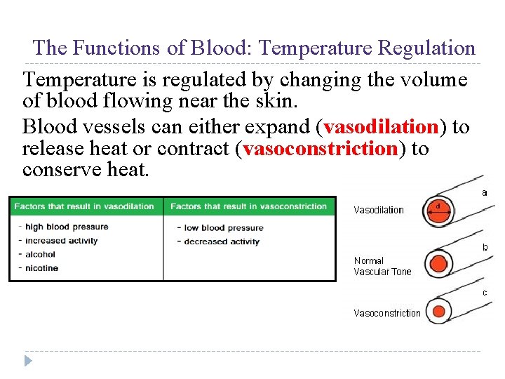 UNIT 4 Chapter 12: The Circulatory System Section 12. 1 The Functions of Blood: