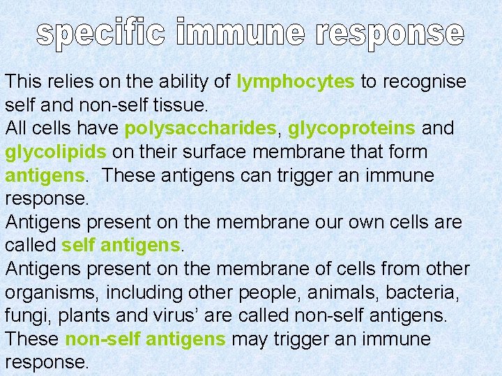 This relies on the ability of lymphocytes to recognise self and non-self tissue. All