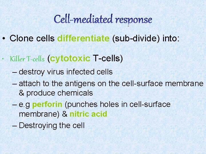  • Clone cells differentiate (sub-divide) into: • Killer T-cells (cytotoxic T-cells) – destroy
