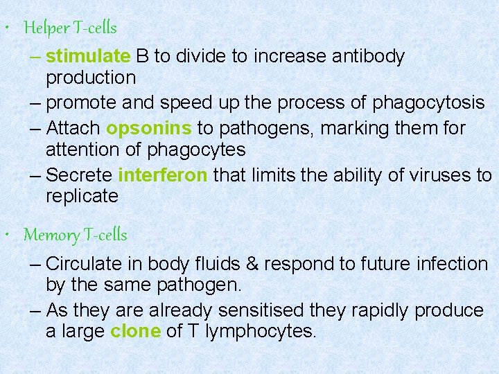  • Helper T-cells – stimulate B to divide to increase antibody production –