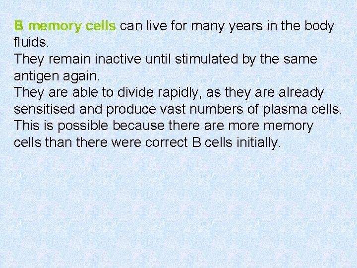 B memory cells can live for many years in the body fluids. They remain
