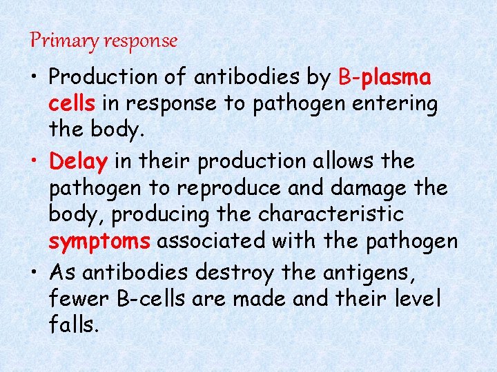 Primary response • Production of antibodies by B-plasma cells in response to pathogen entering