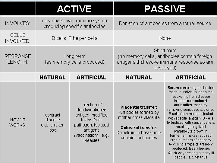 ACTIVE PASSIVE INVOLVES: Individuals own immune system producing specific antibodies Donation of antibodies from