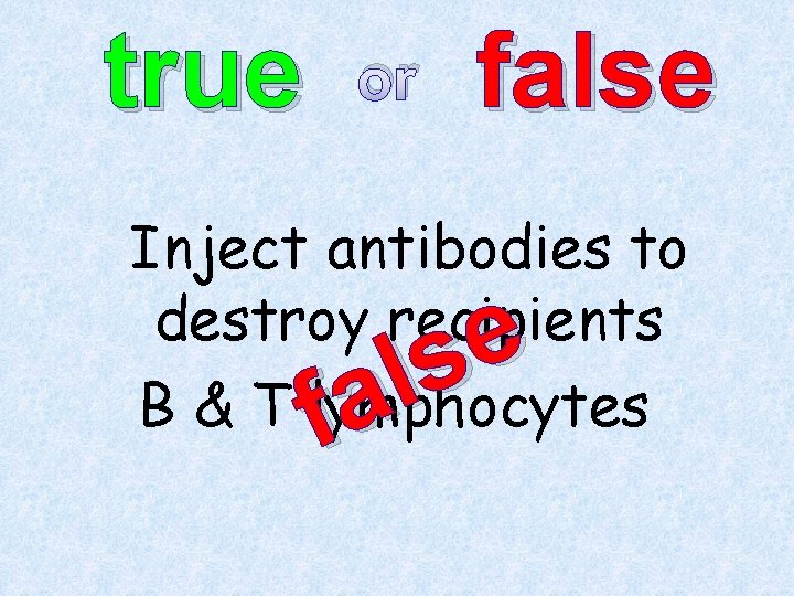 true or false Inject antibodies to destroy recipients B & T lymphocytes e s