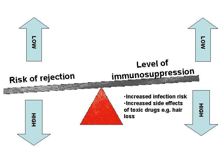 LOW n o i t c e j e r f o k s