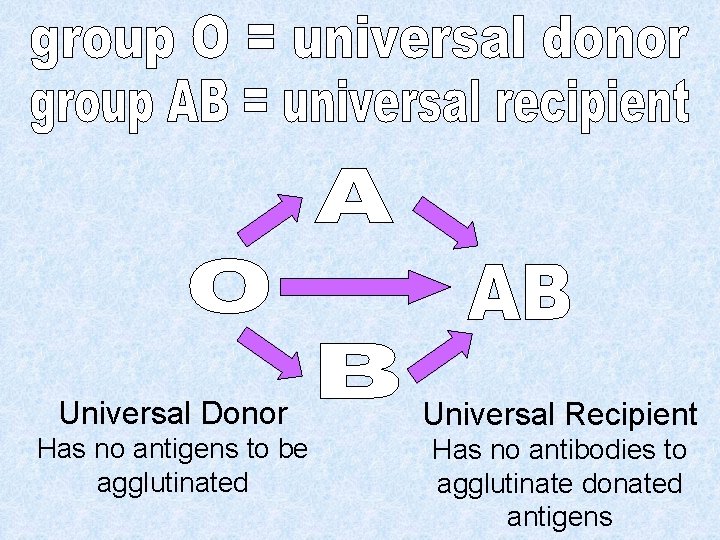 Universal Donor Universal Recipient Has no antigens to be agglutinated Has no antibodies to