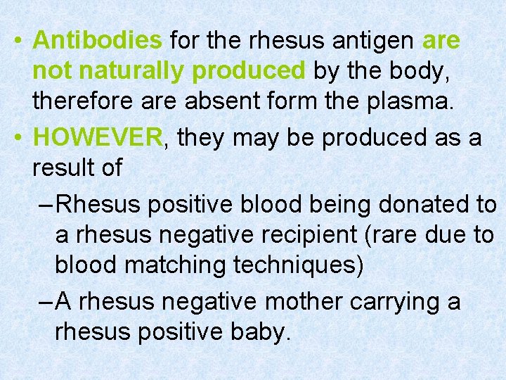  • Antibodies for the rhesus antigen are not naturally produced by the body,