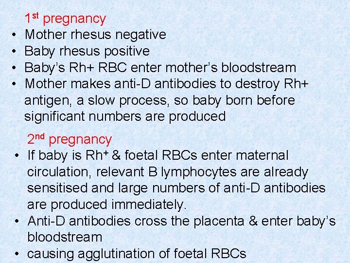  • • 1 st pregnancy Mother rhesus negative Baby rhesus positive Baby’s Rh+