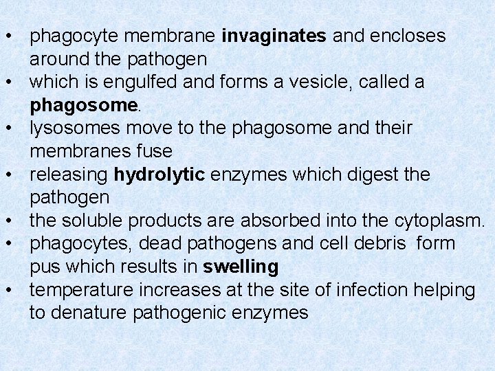  • phagocyte membrane invaginates and encloses around the pathogen • which is engulfed