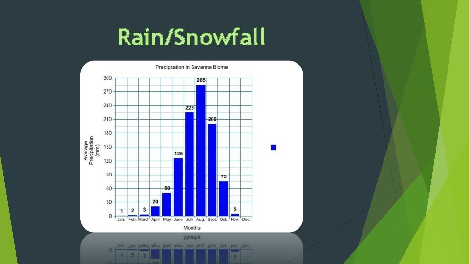 Rain/Snowfall 