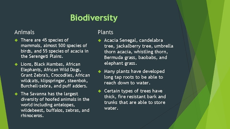 Biodiversity Animals There are 45 species of mammals, almost 500 species of birds, and