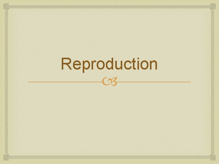 Reproduction 