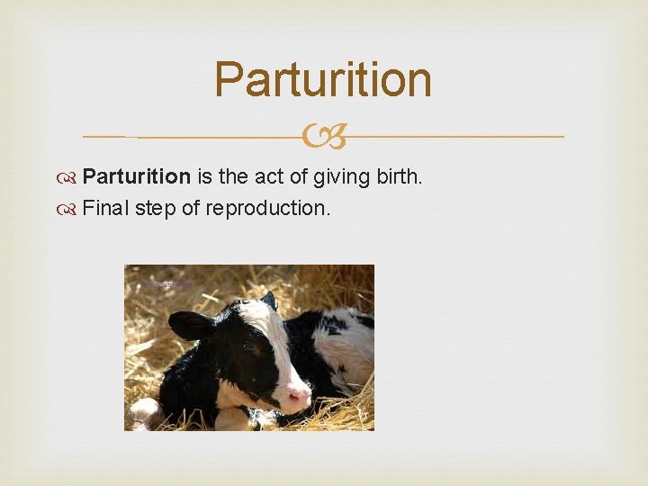Parturition is the act of giving birth. Final step of reproduction. 