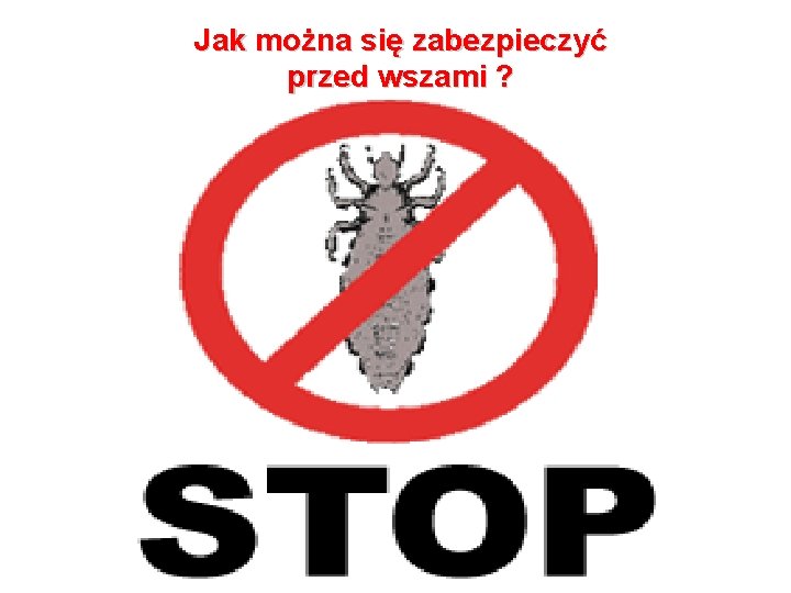 Jak można się zabezpieczyć przed wszami ? 