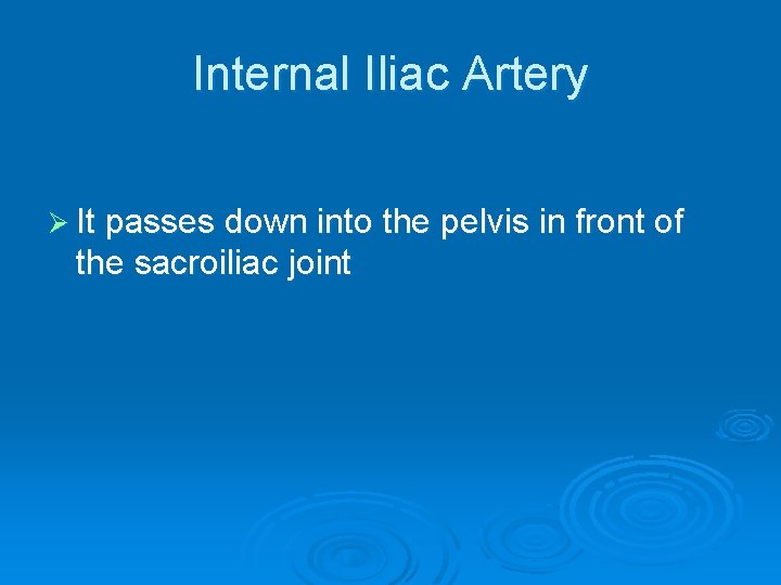 Internal Iliac Artery Ø It passes down into the pelvis in front of the