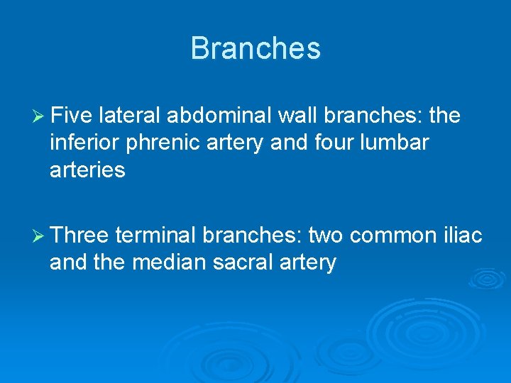 Branches Ø Five lateral abdominal wall branches: the inferior phrenic artery and four lumbar