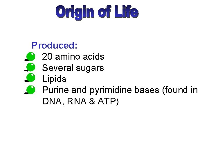 Produced: • 20 amino acids • Several sugars • Lipids • Purine and pyrimidine
