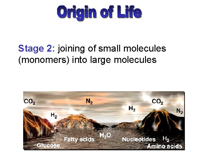 Stage 2: joining of small molecules (monomers) into large molecules 