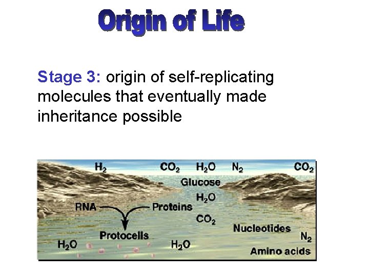 Stage 3: origin of self-replicating molecules that eventually made inheritance possible 
