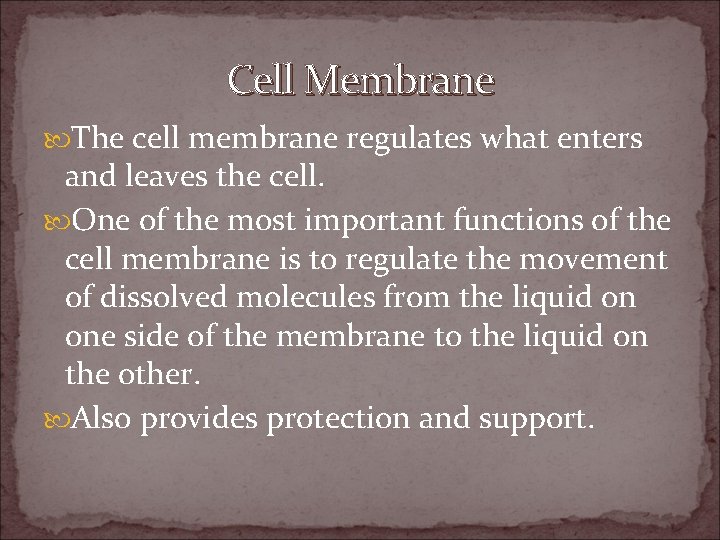 All About Cells Cell Boundaries Cell Membrane All