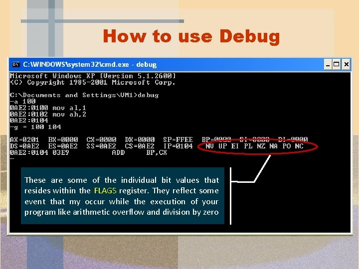 How to use Debug These are some of the individual bit values that resides How to use Debug These are some of the individual bit values that resides