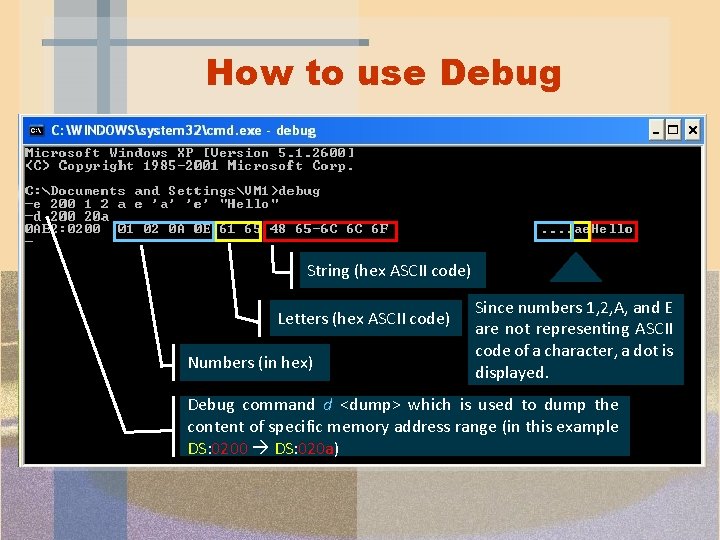 How to use Debug String (hex ASCII code) Letters (hex ASCII code) Numbers (in How to use Debug String (hex ASCII code) Letters (hex ASCII code) Numbers (in