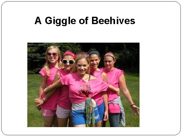 A Giggle of Beehives 