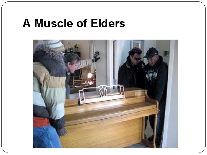 A Muscle of Elders 