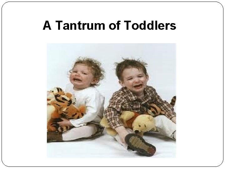 A Tantrum of Toddlers 