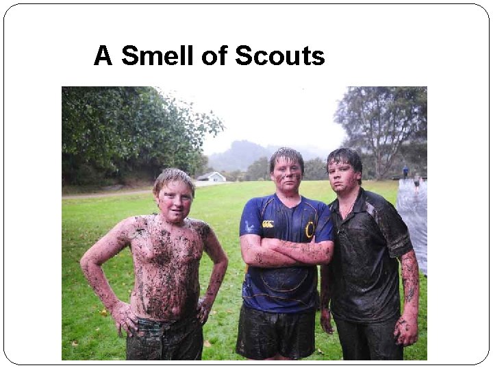 A Smell of Scouts 