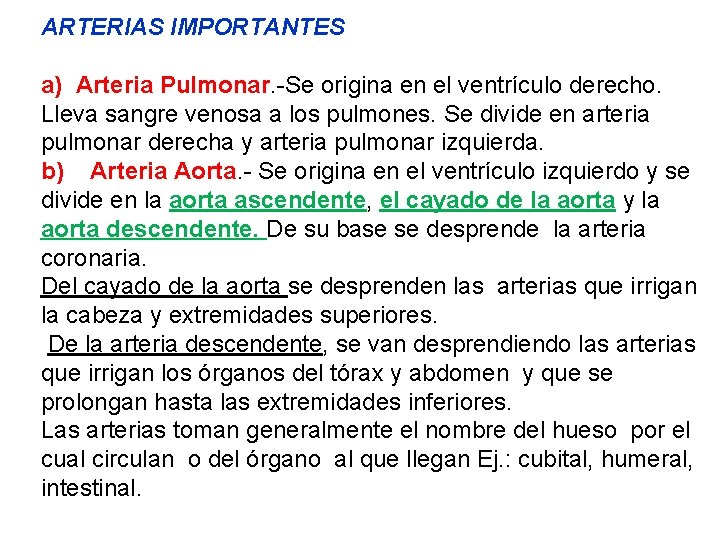 ARTERIAS IMPORTANTES a) Arteria Pulmonar. -Se origina en el ventrículo derecho. Lleva sangre venosa