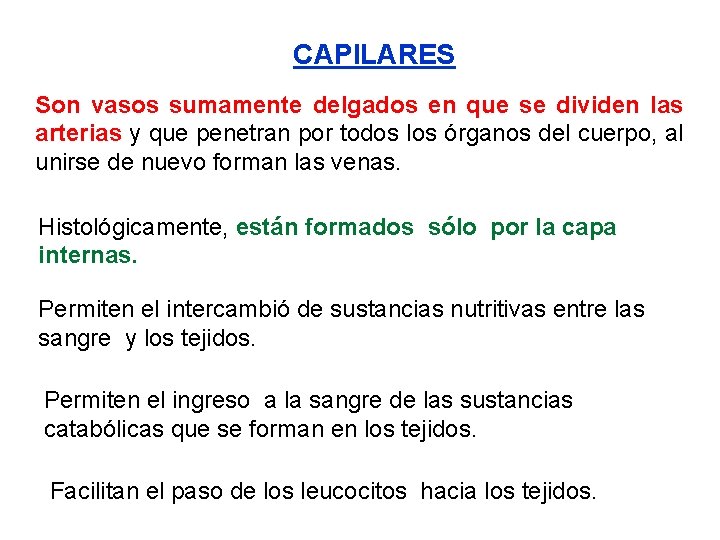 CAPILARES Son vasos sumamente delgados en que se dividen las arterias y que penetran