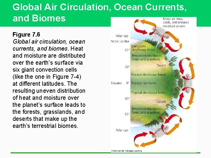 Global Air Circulation, Ocean Currents, and Biomes Figure 7. 6 Global air circulation, ocean