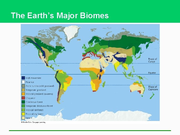 The Earth’s Major Biomes 