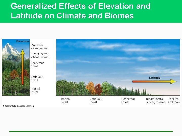 Generalized Effects of Elevation and Latitude on Climate and Biomes 