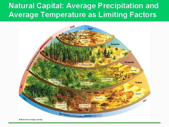 Natural Capital: Average Precipitation and Average Temperature as Limiting Factors 