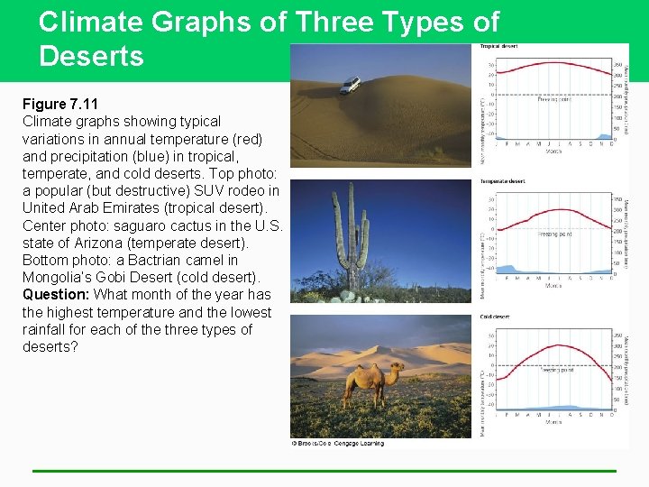 Climate Graphs of Three Types of Deserts Figure 7. 11 Climate graphs showing typical