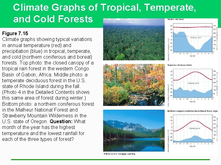 Climate Graphs of Tropical, Temperate, and Cold Forests Figure 7. 15 Climate graphs showing