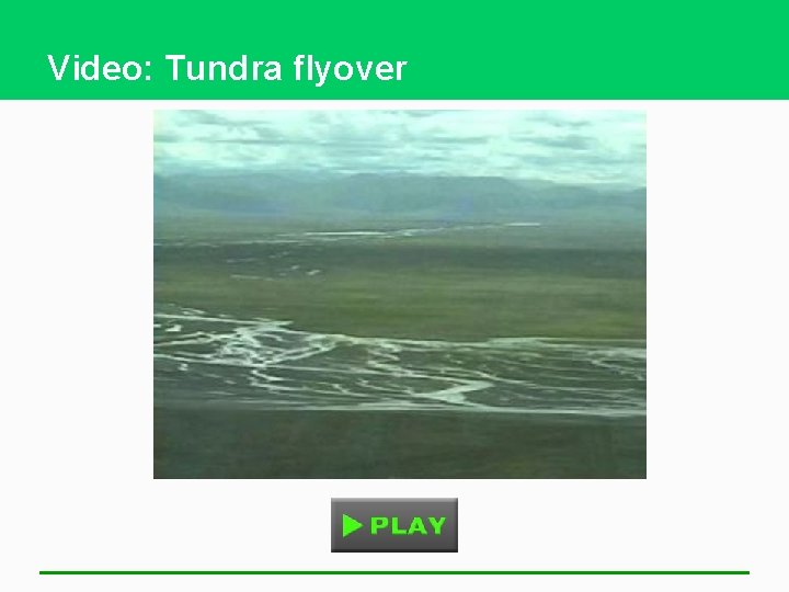 Video: Tundra flyover 