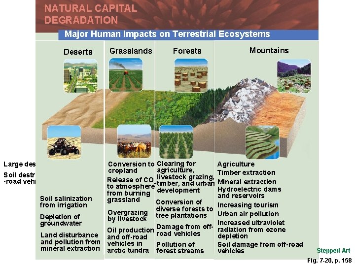 NATURAL CAPITAL DEGRADATION Major Human Impacts on Terrestrial Ecosystems Deserts Grasslands Forests Conversion to