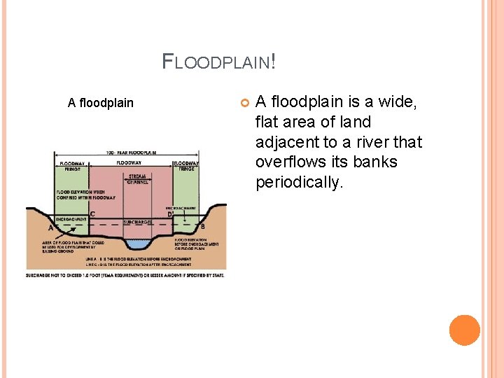 FLOODPLAIN! A floodplain is a wide, flat area of land adjacent to a river