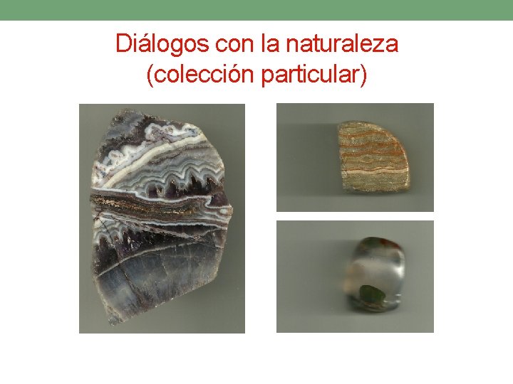 Diálogos con la naturaleza (colección particular) 