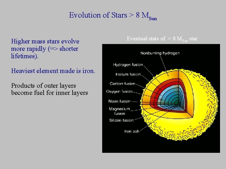 Evolution of Stars > 8 MSun Higher mass stars evolve more rapidly (=> shorter