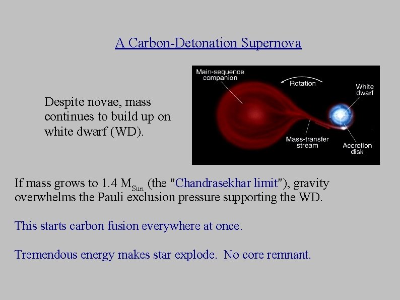 A Carbon-Detonation Supernova Despite novae, mass continues to build up on white dwarf (WD).