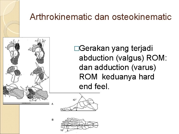 Arthrokinematic dan osteokinematic �Gerakan yang terjadi abduction (valgus) ROM: dan adduction (varus) ROM keduanya