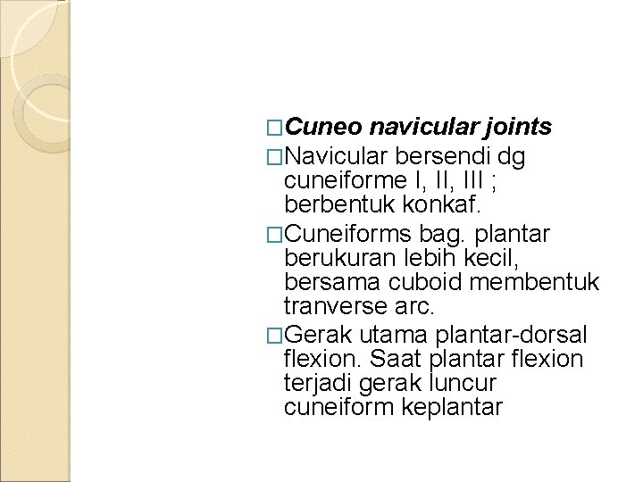 �Cuneo navicular joints �Navicular bersendi dg cuneiforme I, III ; berbentuk konkaf. �Cuneiforms bag.
