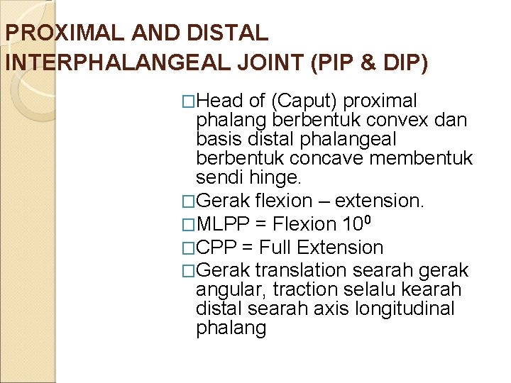 PROXIMAL AND DISTAL INTERPHALANGEAL JOINT (PIP & DIP) �Head of (Caput) proximal phalang berbentuk