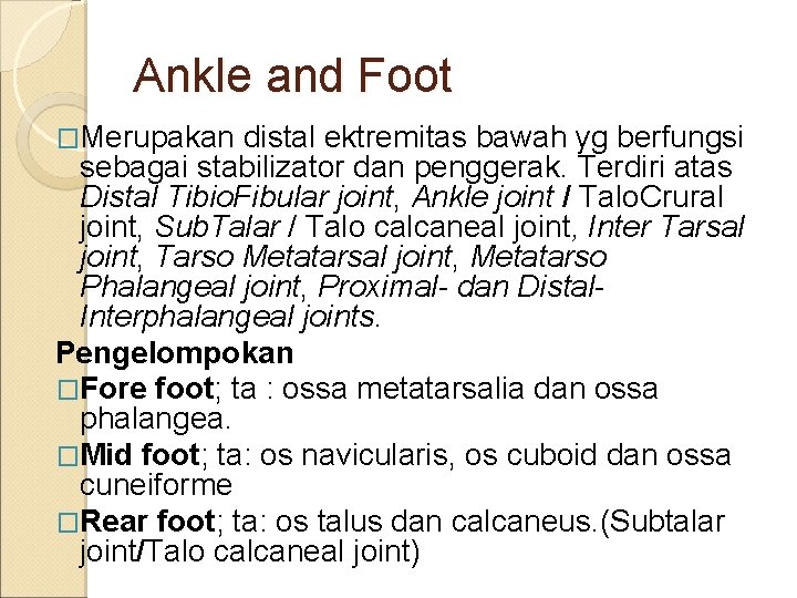 Ankle and Foot �Merupakan distal ektremitas bawah yg berfungsi sebagai stabilizator dan penggerak. Terdiri