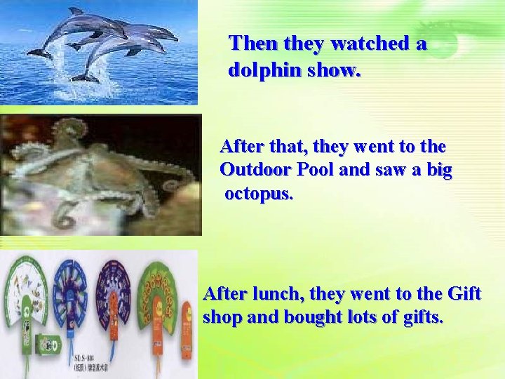 Then they watched a dolphin show. After that, they went to the Outdoor Pool